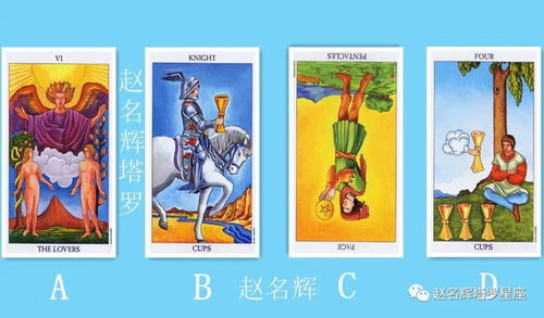 遗失的森林塔罗牌说明书:消失的森林塔罗牌说明书 遗失的森林塔罗牌说明书:消失的森林塔罗牌说明书