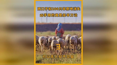 梦见杀羊不见血是什么预兆：解密梦境，梦见杀羊不见血，是预兆还是启示？