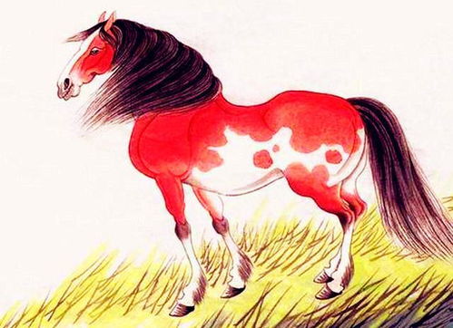 属马的人一生命运如何：属马人一生命运解析，性格特质与时代机遇的双重影响