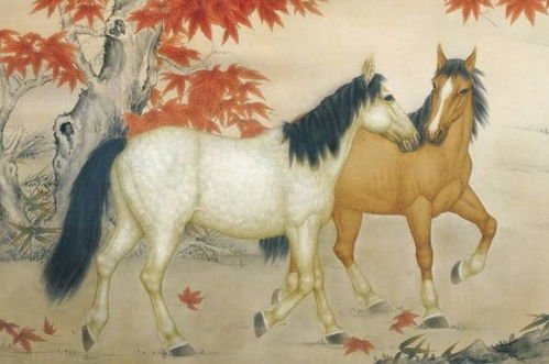 属马的人一生命运如何：属马人一生命运解析，性格特质与时代机遇的双重影响