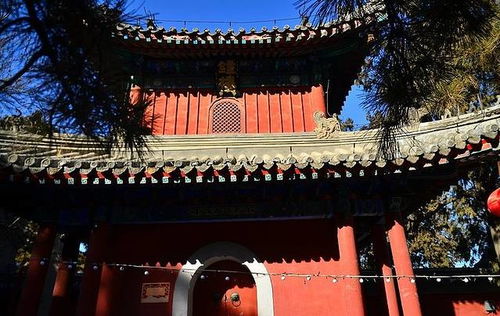 北京好看的求姻缘的寺庙：北京这些寺庙，求姻缘的神仙去处