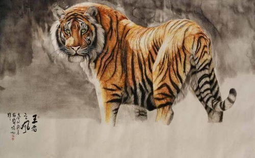 属虎女最佳姻缘配对表：属虎女最佳姻缘配对表，揭秘命理中的幸福伴侣选择