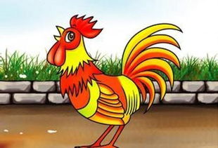 81年属鸡女结婚吉日：1981属鸡女，传统命理下的完美婚期指南