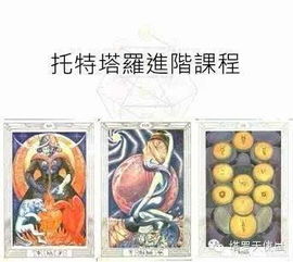 抖音塔罗牌绿泡泡是啥：抖音塔罗牌绿泡泡是什么？揭秘这款风靡短视频平台的神秘玩法！