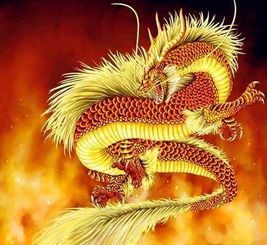 2012年是什么命:2012龙年,运势解码与命运启示—从生肖命理看时代机遇 2012年是什么命:2012龙年,运势解码与命运启示—从生肖命理看时代机遇