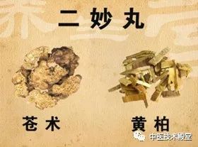 二妙丸能提高性功能吗：二妙丸与性功能，传统中药的现代解读