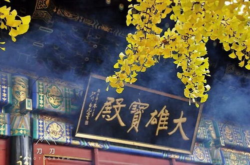 衡阳哪个是求姻缘的地方:衡阳哪里求姻缘?这些地方或许能帮你找到真爱! 衡阳哪个是求姻缘的地方:衡阳哪里求姻缘?这些地方或许能帮你找到真爱!