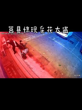 买观赏鱼收到1袋水 商家:烫熟分解了