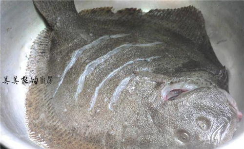 男子差评饭店不上鱼:实际上了8次