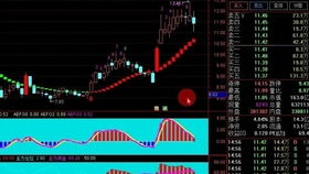 和讯投顾王海洋:A股指数低开创新高,尾盘跳水,大盘会大跌吗? 和讯投顾王海洋:A股指数低开创新高,尾盘跳水,大盘会大跌吗?