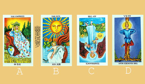 塔罗牌报班要多少钱：塔罗牌报班要多少钱？从新手到进阶，费用全解析！