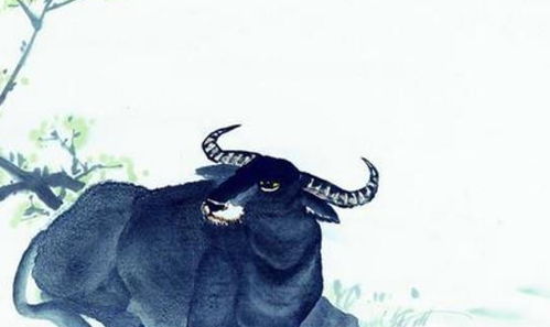 1985属牛女的必经三大坎：1985属牛女必经三大坎，破局关键在心态与方法的平衡