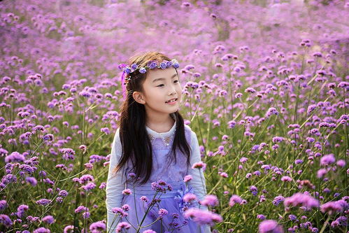 诗经楚辞小清新女孩名字：诗经楚辞中的雅韵清荷，小清新女孩名字的古典美学启示