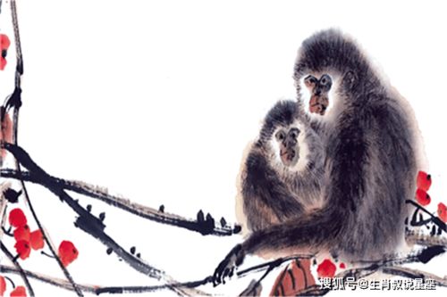 属猴人今日运势:属猴人今日运势,吉星高照,抓住机遇,但需谨防冲动陷阱 属猴人今日运势:属猴人今日运势,吉星高照,抓住机遇,但需谨防冲动陷阱