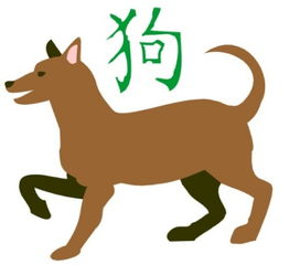 94年属狗的是什么命：94年属狗人命运解析，性格特质与未来运势全揭秘