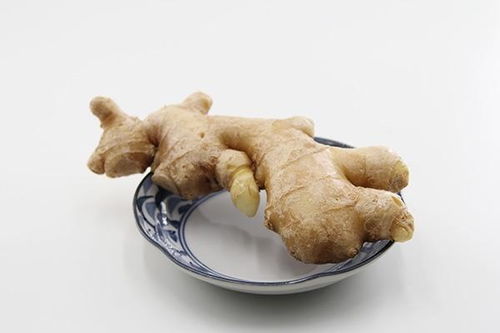 生姜去湿气效果好吗：生姜去湿气效果好吗？中医角度与科学解读