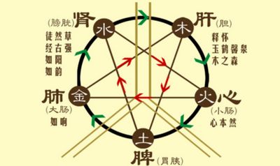 查询五行：如何查询五行及五行平衡的智慧实践