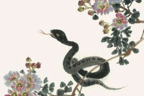 77年蛇2024年有三喜：77年属蛇人2024年祥瑞临门，三喜临门鸿运当头，把握机遇福星高照