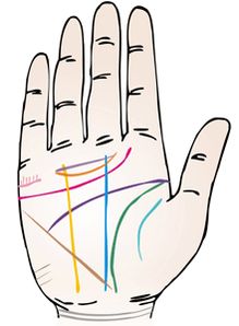 女性右手掌纹手相算命：掌纹中的女性密码，右手生命线与情感线解析，手相学背后的千年智慧