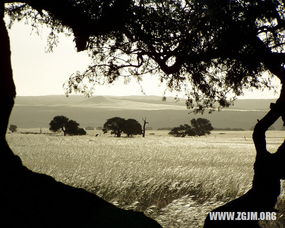 梦到剃光头没剃尽:梦到剃光头没剃尽,一场潜意识的未竟之诉 梦到剃光头没剃尽:梦到剃光头没剃尽,一场潜意识的未竟之诉