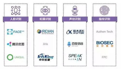 手机号预测：手机号预测，技术解析、应用场景与安全风险防范