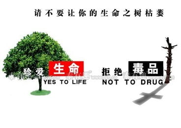 6月26日是什么日子：6月26日，国际禁毒日与全球禁毒行动的警示与希望