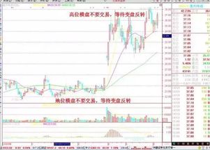 大和：极智嘉-W订单量强劲 近期股价回调提供入市时机