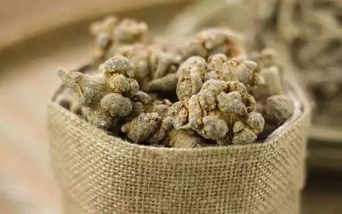 三七治什么病最好：三七治什么病最好？中医告诉你三七的神奇功效！