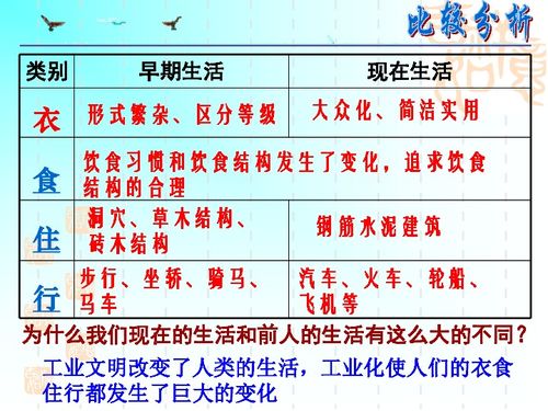 今天老黄历查询：老黄历查询指南，传统智慧与现代社会生活的完美融合
