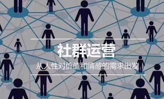 测你是什么座：测你是什么座，解锁你的灵魂密码，精准定位人生角色