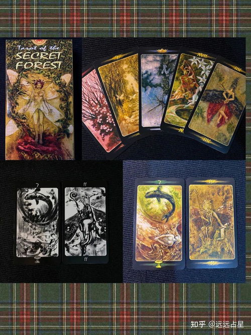 抽塔罗牌的小程序叫什么：抽塔罗牌小程序命名灵感与策略解析