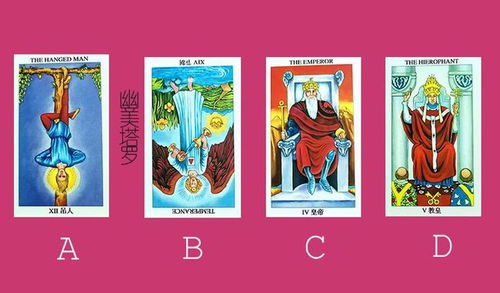 抽塔罗牌的小程序叫啥：塔罗牌小程序叫什么？这几个名字你一定想不到！