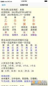 生辰八字分析免费测试：揭秘你的命运密码，免费生辰八字分析，一探性格与运势！