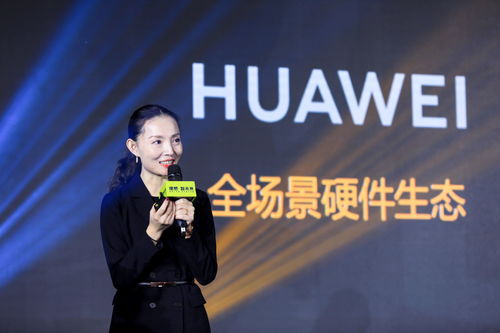 金丰来:金势再起 再启新程