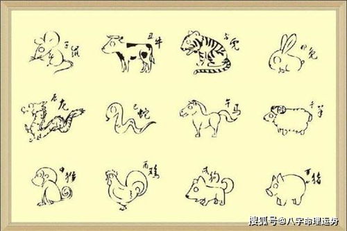 十二生肖的顺序排列表：十二生肖的正确顺序排列表，从鼠到猪的完整解析