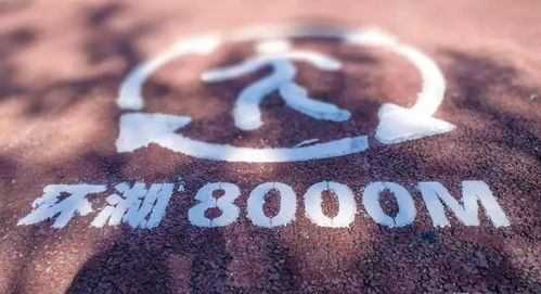 小众但惊艳的公司名称：藏在角落的星辰，小众但惊艳的公司名称如何用文字构建品牌灵魂