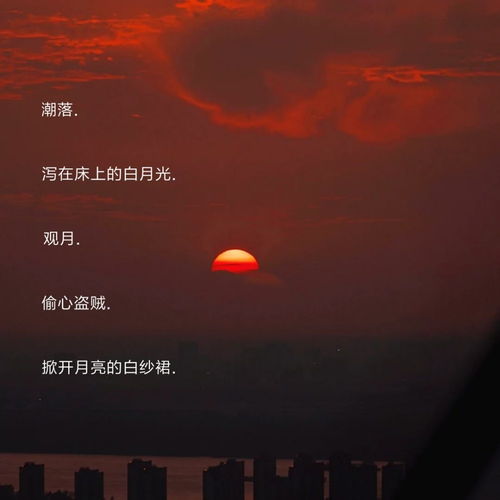 小众但惊艳的公司名称：藏在角落的星辰，小众但惊艳的公司名称如何用文字构建品牌灵魂