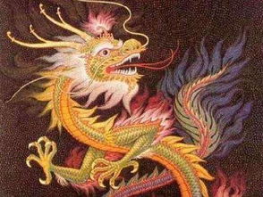 88年属龙37岁大劫:88年属龙人37岁迎来龙年大劫?破局指南与生存法则 88年属龙37岁大劫:88年属龙人37岁迎来龙年大劫?破局指南与生存法则