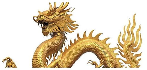 88年属龙37岁大劫：88年属龙人37岁迎来龙年大劫？破局指南与生存法则