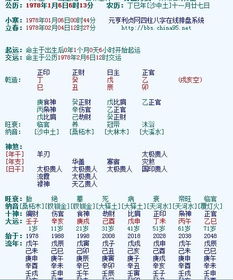 八字合婚查询表：八字合婚查询表，科学测算姻缘的实用指南与注意事项