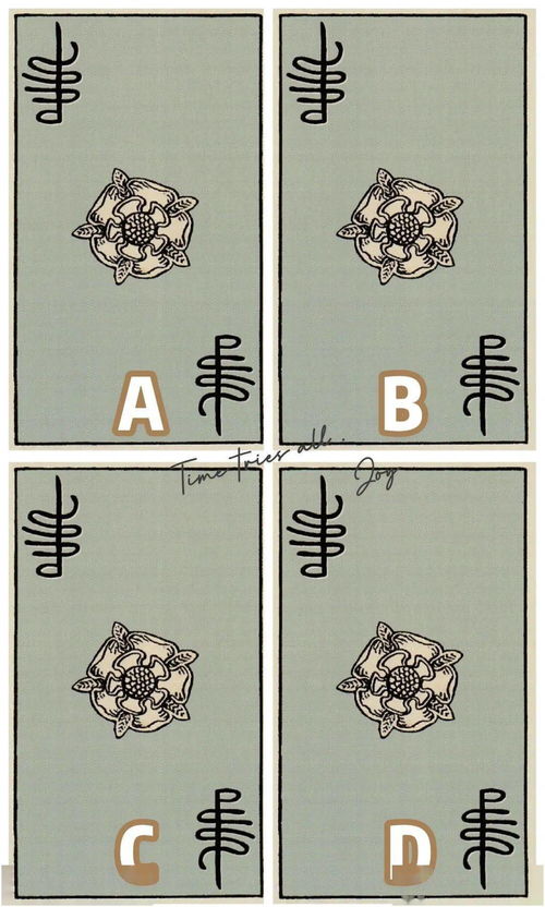 炼金术那张塔罗牌的解释：炼金术，塔罗牌中的神秘转化与能量之舞