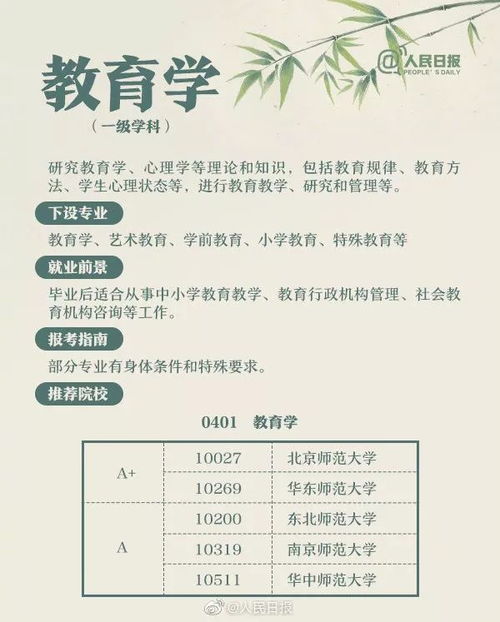 姓名打分100分查询：姓名打分100分查询指南，科学解析姓名能量与运势