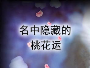 姓名测试桃花运：姓名测试桃花运，你的名字里藏着爱情运的玄机？