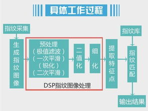 手机号码精确估价:手机号码精确估价,基于市场数据与算法模型的科学评估体系 手机号码精确估价:手机号码精确估价,基于市场数据与算法模型的科学评估体系