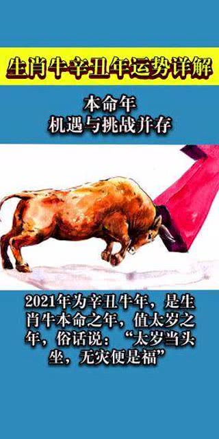 女属牛今年姻缘如何呢：女属牛今年姻缘运势揭秘，机遇与挑战并存，如何把握幸福？