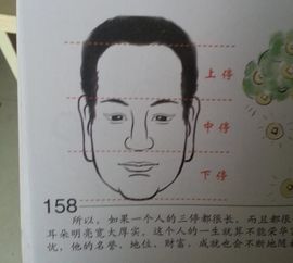 女人面相图解大全:解析女性面相的奥秘,从五官到运势的图解指南(附详细特征与提升建议) 女人面相图解大全:解析女性面相的奥秘,从五官到运势的图解指南(附详细特征与提升建议)