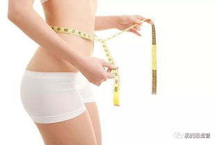 如何正确减肥方法：科学瘦身指南，健康减肥的正确方法与误区解析