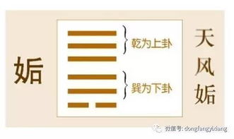 易经如何起卦：易经起卦的完整流程，从占卜工具到卦象解析的实用指南