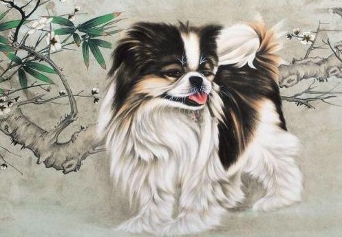 1994年属狗的最佳婚配：1994年属狗者的最佳婚配，五行平衡与生肖相合的完美选择