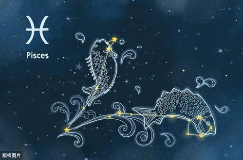 2月16什么星座的星座:2月16日是什么星座?揭秘双鱼座与水瓶座的分界之谜 2月16什么星座的星座:2月16日是什么星座?揭秘双鱼座与水瓶座的分界之谜